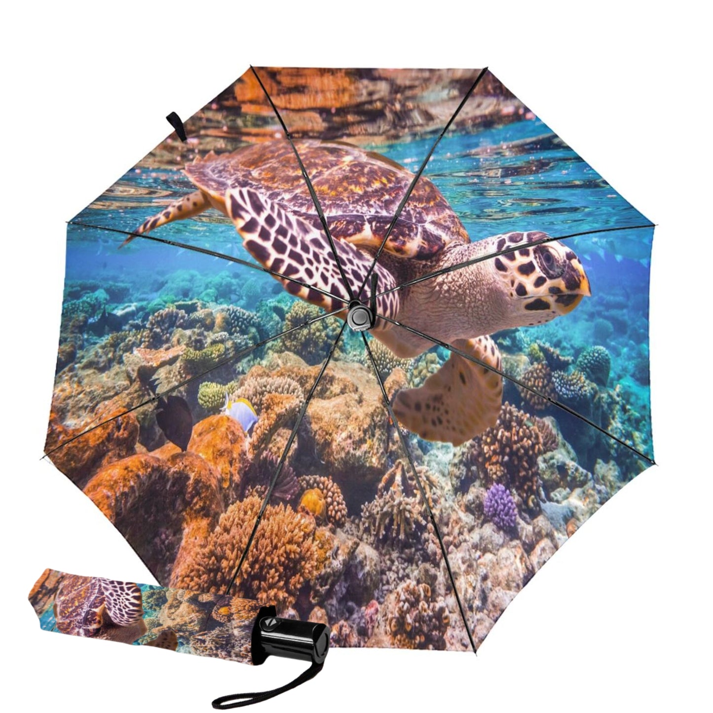 Foldable Umbrella With Sea Turtle Print Inside