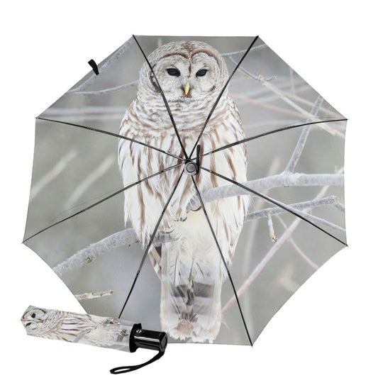 Small Foldable Umbrella With Snowy Owl Print Inside