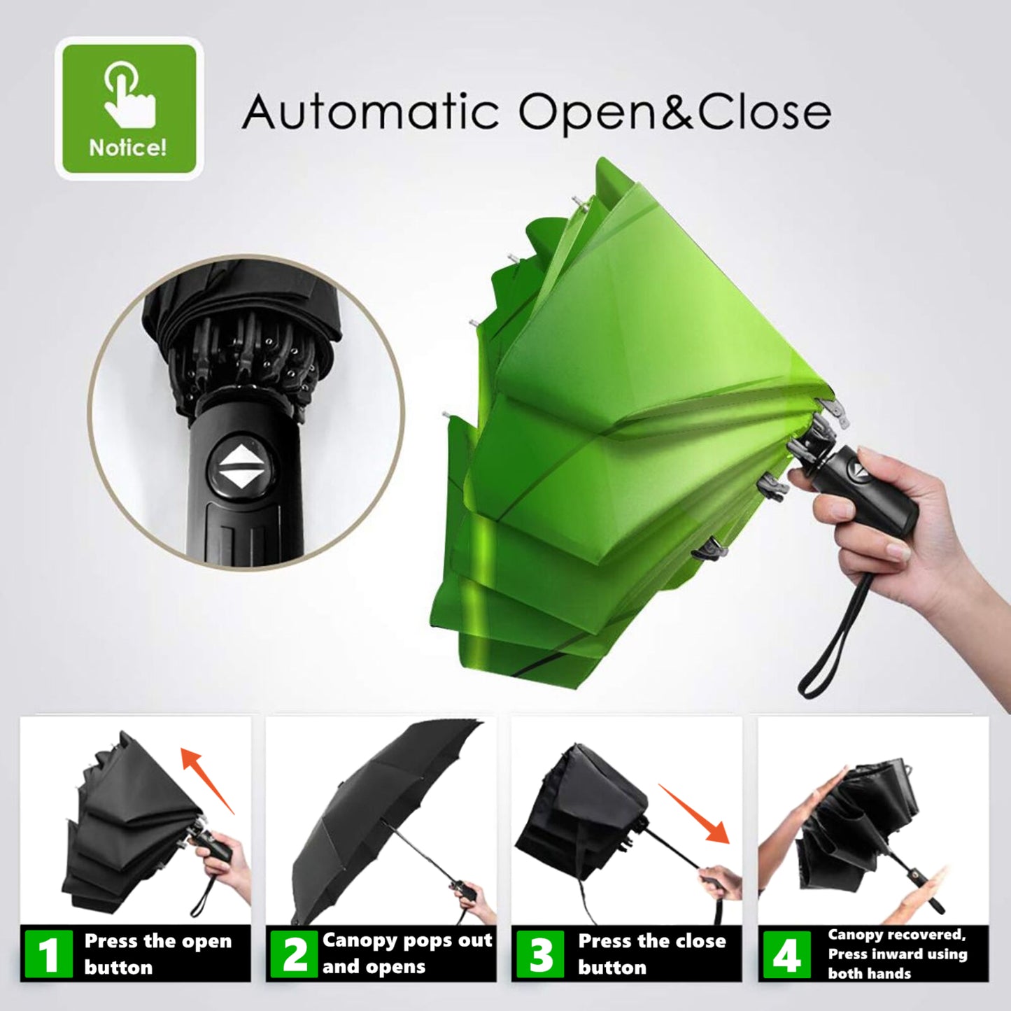 Funny Frog Foldable Umbrella